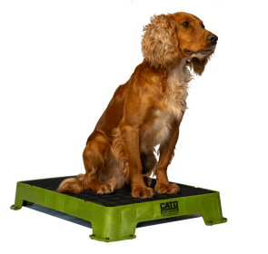 Cato Board Dog Training Platform (Surface Material: Rubber, Color: Olive Green)