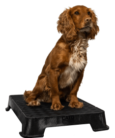 Cato Board Dog Training Platform (Surface Material: Rubber, Color: Black)