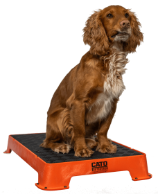 Cato Board Dog Training Platform (Surface Material: Rubber, Color: Orange)