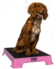 Cato Board Dog Training Platform (Surface Material: Rubber, Color: Pink)