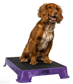 Cato Board Dog Training Platform (Surface Material: Rubber, Color: Purple)