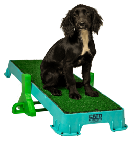 Cato Plank XL Platform w/ Tilt Stand (Surface Material: Turf, Color: Teal)