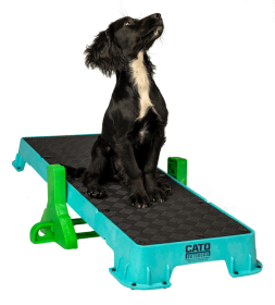Cato Plank XL Platform w/ Tilt Stand (Surface Material: Rubber, Color: Teal)