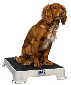 Cato Board Dog Training Platform (Surface Material: Rubber, Color: White)