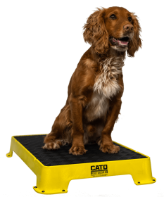 Cato Board Dog Training Platform (Surface Material: Rubber, Color: Yellow)